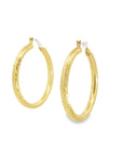 Baikalla Jewelry Silver Gemstone Earrings Baikalla 10k Gold Dangle Diamond Cut Hoop Earrings