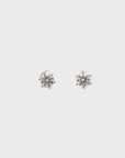 14k Classic White Gold Moissanite Earrings