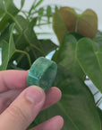 Natural Burmese Green Jadeite Jade Bend Men's Ring