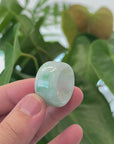 Natural Burmese Green Jadeite Jade Bend Men's Ring