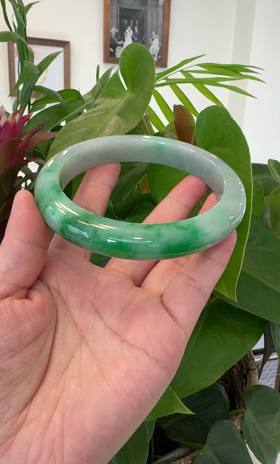 Baikalla™ "Classic Bangle" Genuine Jadeite Jade Green Bangle Bracelet ( 80.59mm)#T271