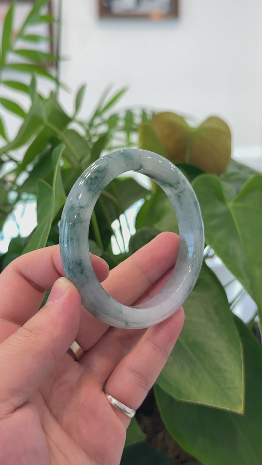 Burmese High-end Ice blue green Jade Jadeite Bangle Bracelet (61.67mm) ( Collectibles )T267