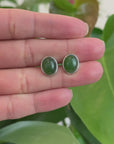 Sterling Silver Genuine Nephrite Green Jade Oval Stud Earrings