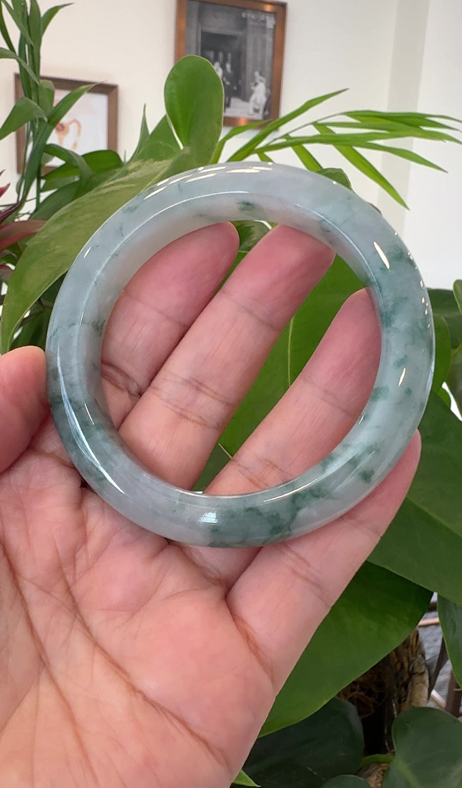 Burmese High-end Ice blue green Jade Jadeite Bangle Bracelet (59.42mm) ( Collectibles )T269