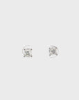 14k Classic White Gold Moissanite Earrings